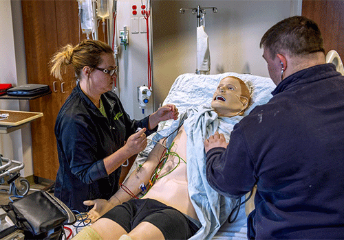 Providers working with manikin