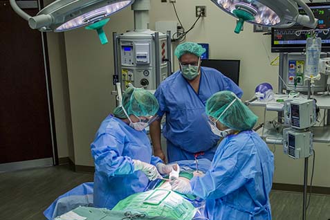 Surgical team simulation